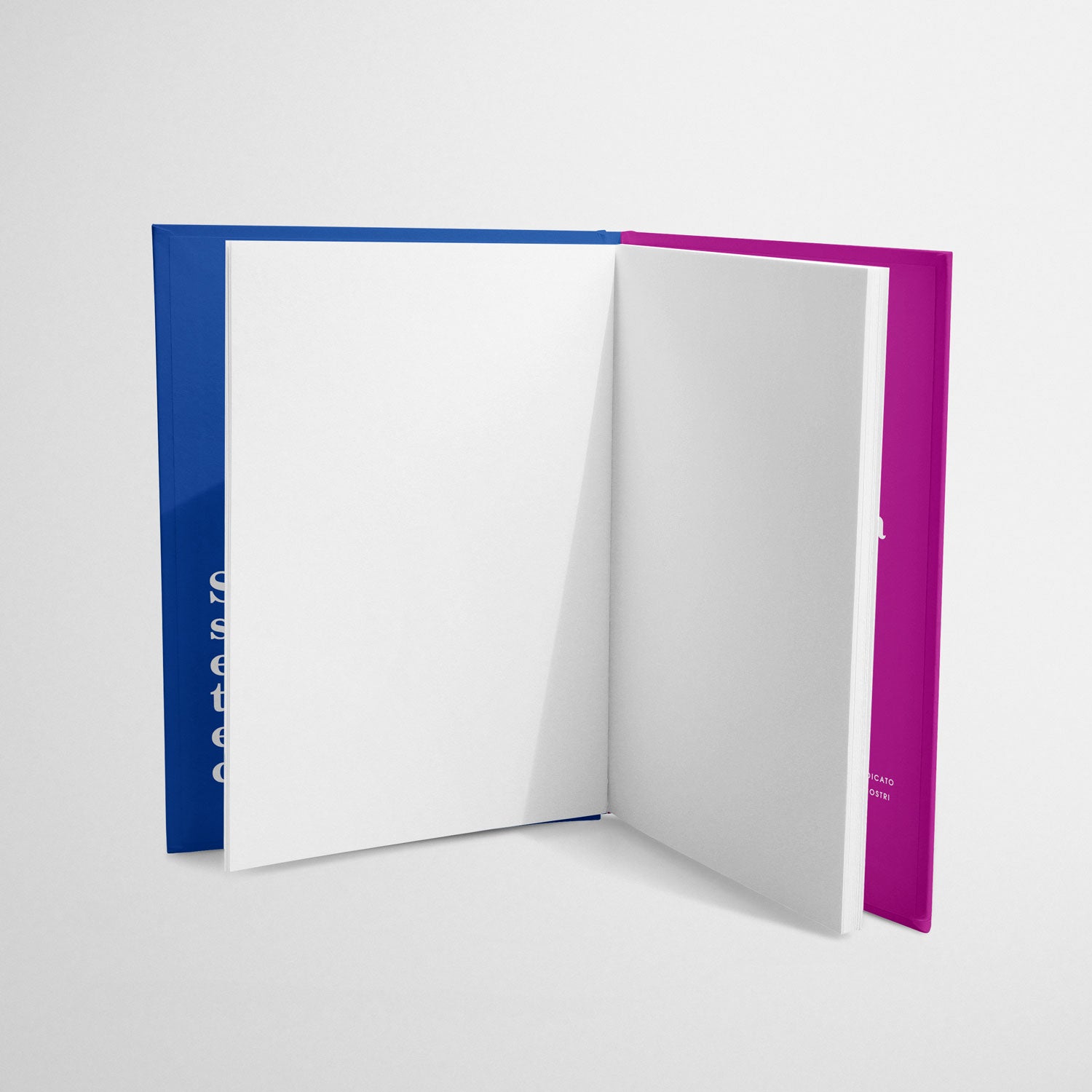 Palette Notebook